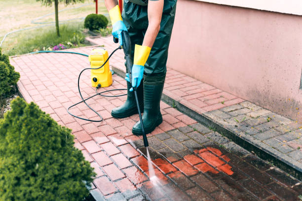 Best Fence Cleaning  in St Helena, CA